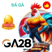 max79 Game 08